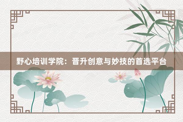 野心培训学院：晋升创意与妙技的首选平台
