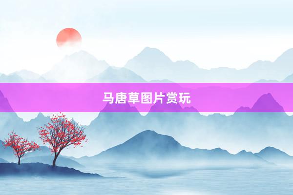 马唐草图片赏玩