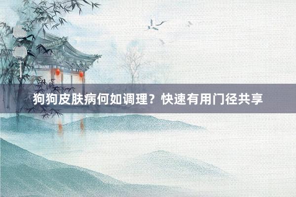狗狗皮肤病何如调理？快速有用门径共享
